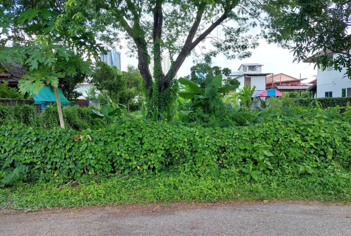 ขายด่วนที่ดิน 296.3 ตร.วา