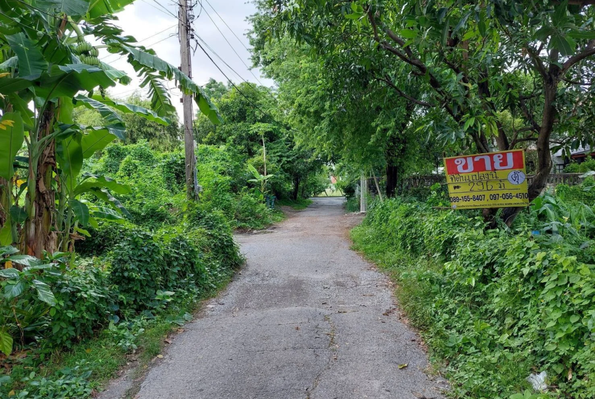 ขายด่วนที่ดิน 296.3 ตร.วา