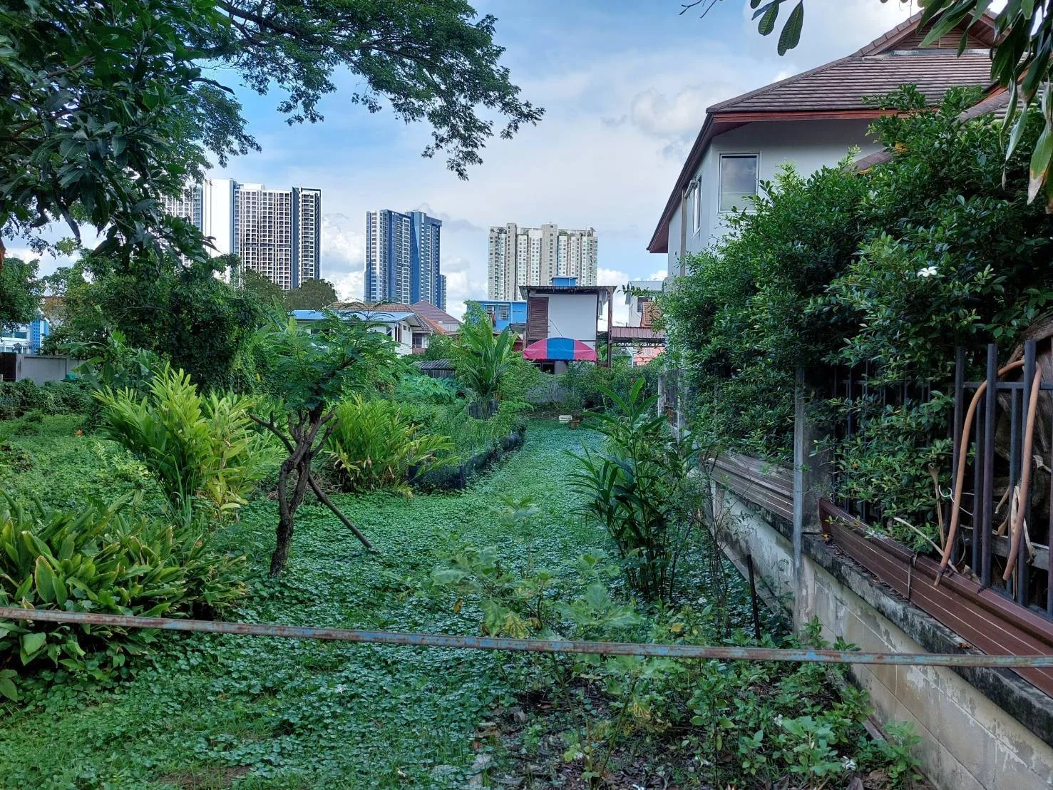 ขายด่วนที่ดิน 296.3 ตร.วา