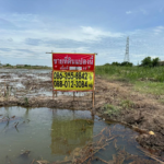 ขายที่ดิน ซอยโรงแรม รอแยล อินน์ คลองหลวง27 ปทุมธานี