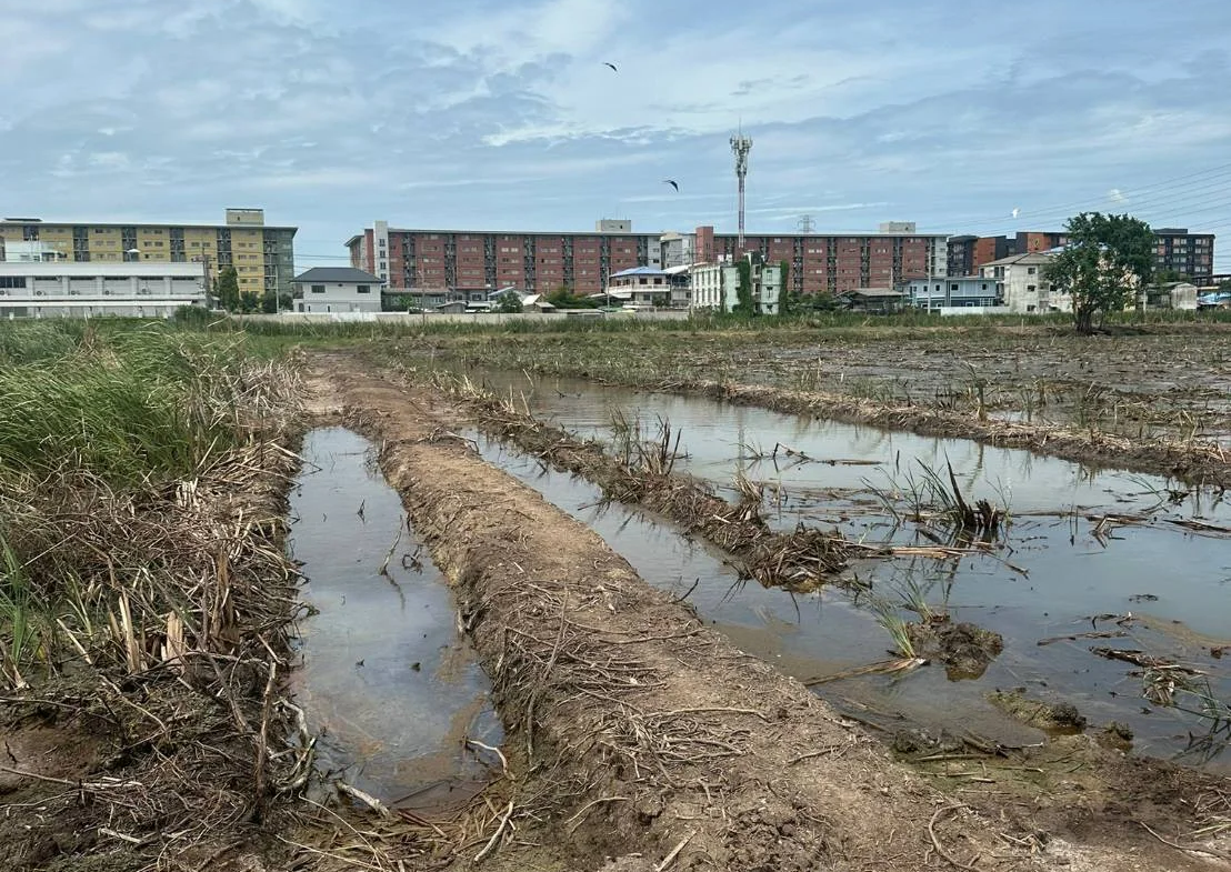 ขายที่ดิน ซอยโรงแรม รอแยล อินน์ คลองหลวง27 ปทุมธานี